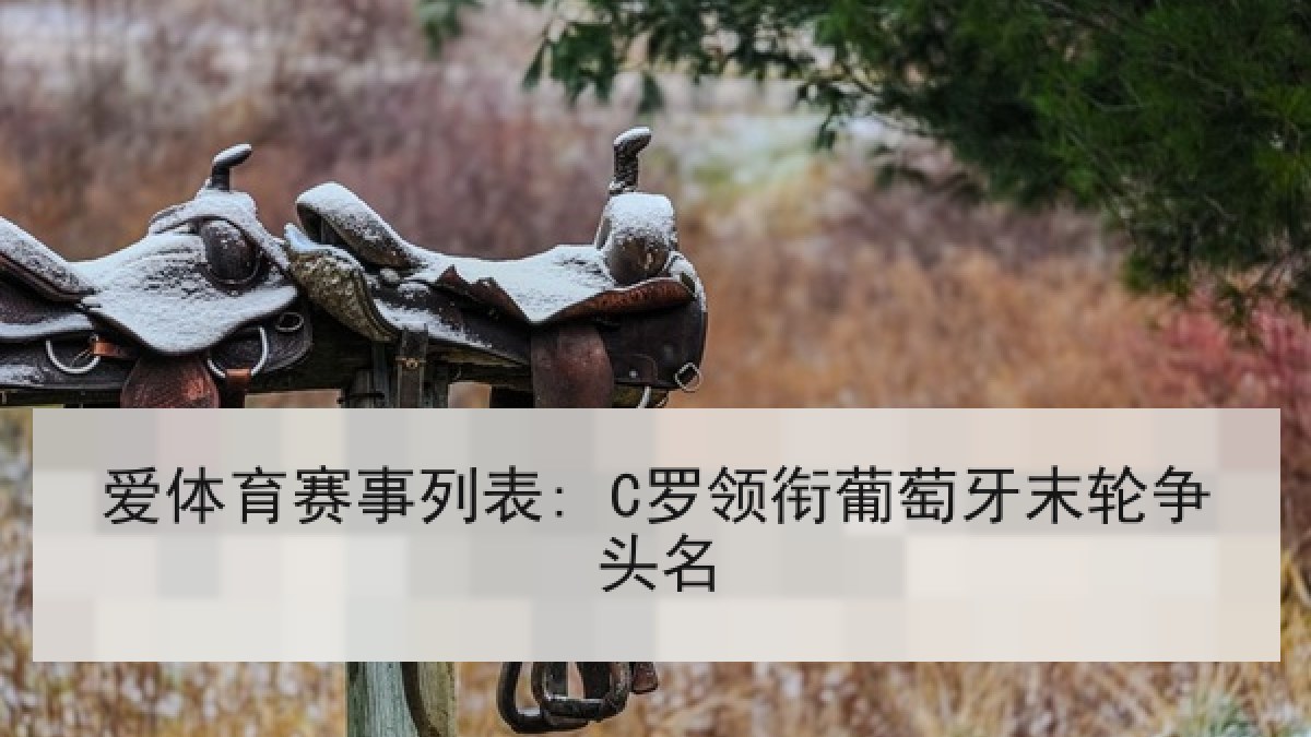爱体育赛事列表: C罗领衔葡萄牙末轮争头名