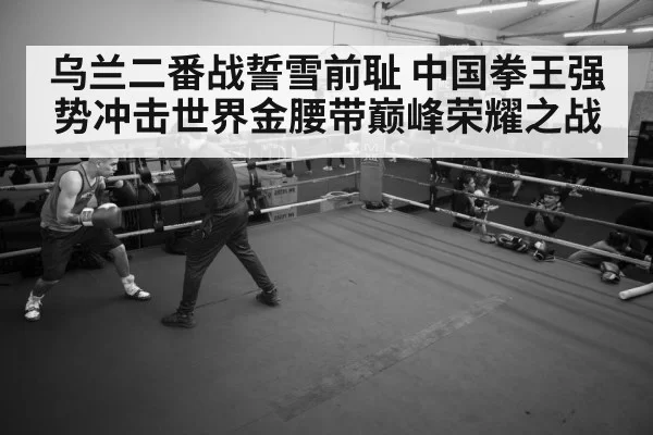 boxer training gym