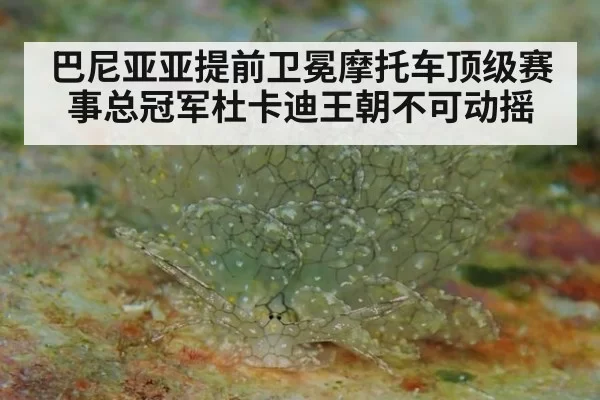 巴尼亚亚提前卫冕摩托车顶级赛事总冠军杜卡迪王朝不可动摇